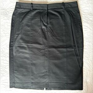 Zara NWOT Pencil Skirt, Large
